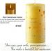 First Impressions Candle